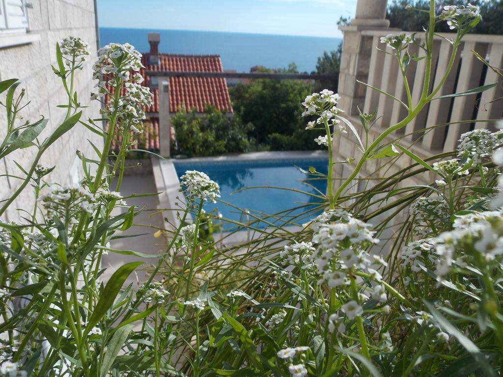 Guesthouse Villa Klaic Dubrovnik Exterior photo
